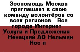 Зоопомощь.Москва приглашает в свою команду волонтёров со всех регионов - Все города Интернет » Услуги и Предложения   . Ненецкий АО,Нельмин Нос п.